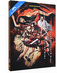 vampire-girl-vs.-frankenstein-girl-limited-mediabook-edition-cover-a_klein (1).jpg